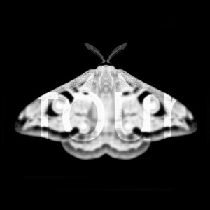 Martyn Hare - The Beat