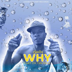 Why D cat in the rain by jussbusscamp records, Gully Musiq