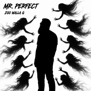 Mr. Perfect by Zoo Walla G