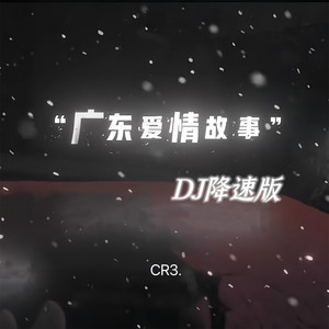 CR3. - 广东爱情故事 (DJ降速版)
