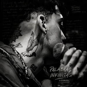 Palabras Infinitas by Lizorzo, Biggie Pain