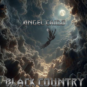Angel Caido by Black Country