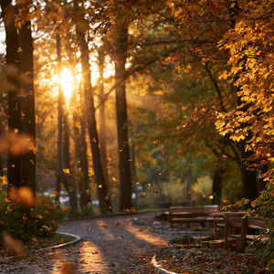 hello autumn by Nilo Bay, Penelope Cru
