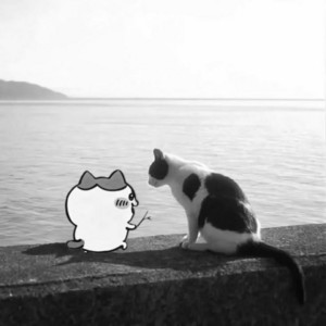 flvtter - I want hair like yours, hands like yours