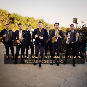 Luci Duga Carasanu & Formatia Maistorii - Floare rosie de mac