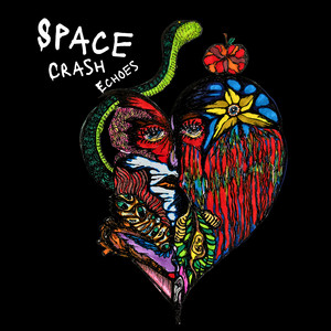 Not That Kind by Space Crash Echoes