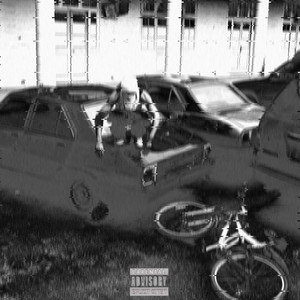 SEIISM by St. Seii