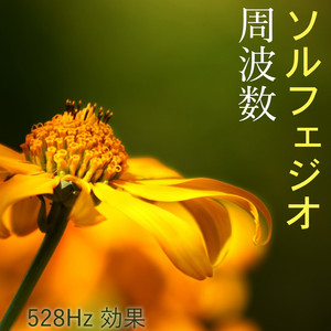癒されるソルフェジオ周波数528hz: 精神の安定, チャネリング瞑想