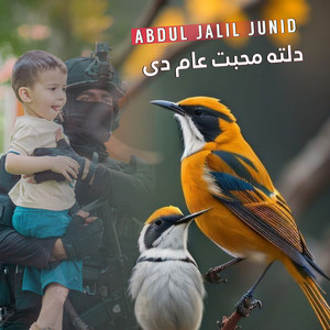 Abdul Jalil Junaid - ډک له تاريخو دی ارزښتونه د وطن پشتو ترانه نشيد