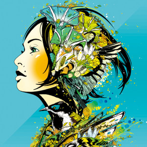 Mirror cover