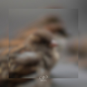 Wakeful Bird by Alexander Demidov