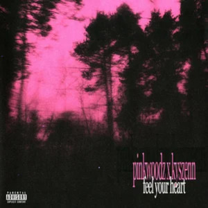 pinkwoodz & kyszenn - feel your heart