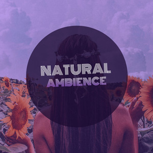 # 1 Album: Natural Ambience album
