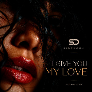 I Give You My Love by SidekoDJ