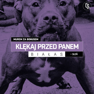 Klękaj przed panem