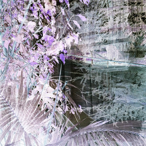 glacial tea cover art