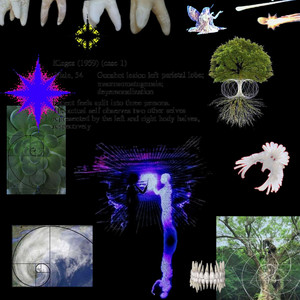 RXM - 0059 brainrot project