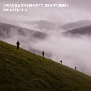 What I Need (feat. seantommy) by Vivace, On Sight, seantommy