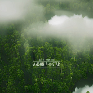 Gentle Forest noise by Amsonia Star