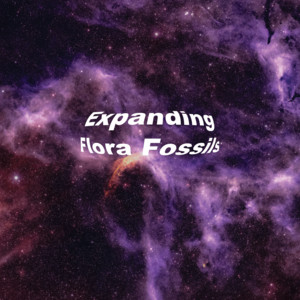 Expanding by Flora Fossils