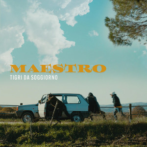 MAESTRO by TIGRI DA SOGGIORNO