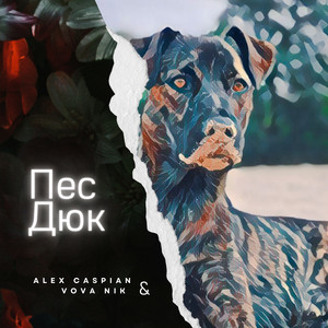Обкладинка: Пес Дюк