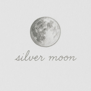 silver moon by Rob Linx