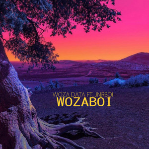 WozaBoi by Woza Data, JnrBoi
