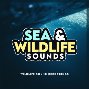 Sea & Wildlife Sounds album