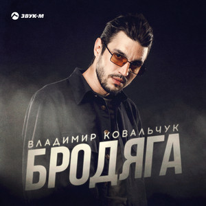 Бродяга by Владимир Ковальчук