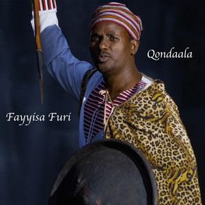 Fayyisaa Furii poster