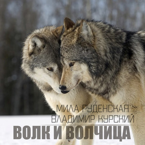 Волк и волчица - song and lyrics by Мила Руденская, Владимир ...