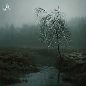 Soft Rain by Orua