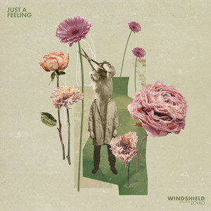 Windshield - Just a Feeling (feat. Zorro)