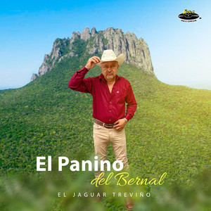 El Panino del Bernal