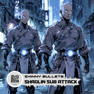 Skinny Bullets poster