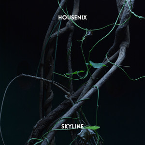 Skyline by Housenix