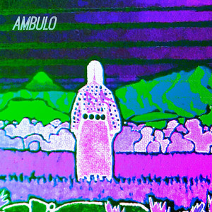 Magnified Night Tour by Ambulo