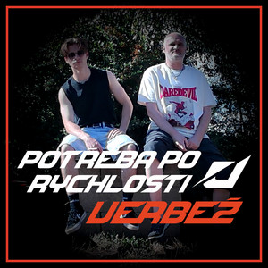 Potřeba po rychlosti