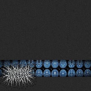 GORGED AND GUTTED - Silence