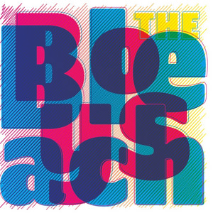 Me Oh My by The Bleach Boys