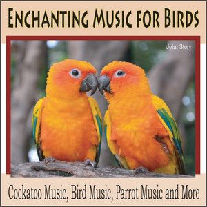 Classical Cockatoos (Bird Music) by John Story