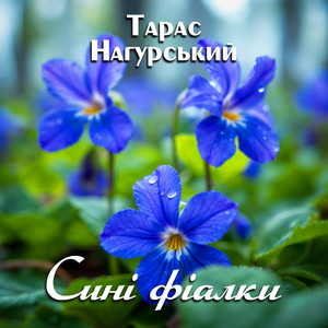 Сині фіалки