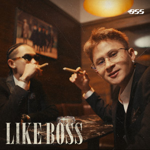 Like Boss (feat. Meezy24k)