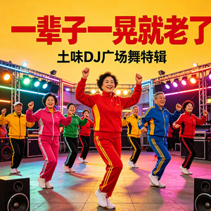 一辈子一晃就老了（DJ版） by DJ杨艳霞
