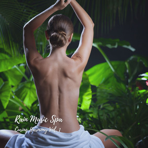Rain Music Spa: Curing Harmony Vol. 1 album