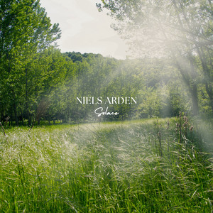 Solace by Neils Arden