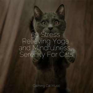 50 Stress Relieving Yoga and Mindfulness, Serenity For Cats album