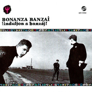 The Compilation - Album by Bonanza Banzai | Spotify
