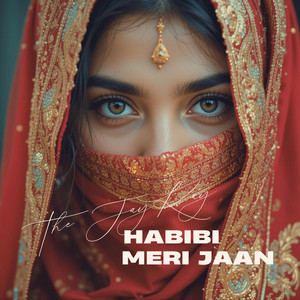 Habibi Meri Jaan